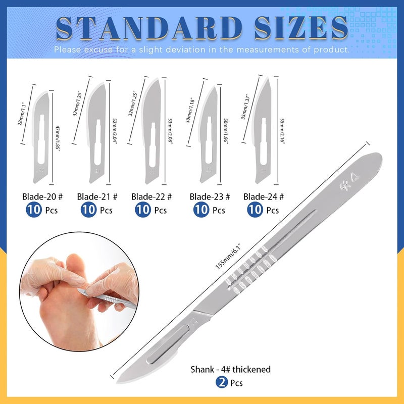 Glarks 52Pcs Surgical Grade Blade with Handle Kit, 50Pcs #20#21#22#23#24 Disposable Surgical Blade Sterile Scalpel Blade with 2Pcs #4 Scalpel Handle for Biology Lab Anatomy, Practicing Cutting - Image 2
